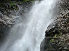 -姑婆山旅游区