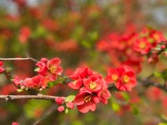 -小天府川菜馆(魏公村店)