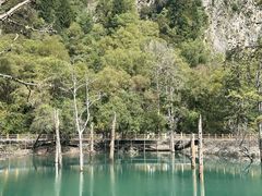 -叠溪松坪沟景区