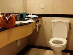 -新加坡富丽华河畔大酒店(SG Clean)