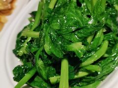 清炒豌豆苗-渝信川菜 · 川味家常菜(长安店)