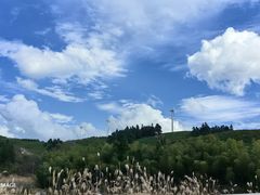 -东白山
