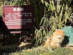 -李叔同故居纪念馆