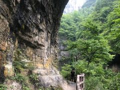 -鹿院坪生态旅游景区