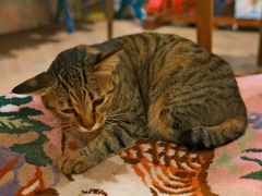 -恋物百货商店(华侨城店)