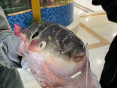 -味雅大酒店