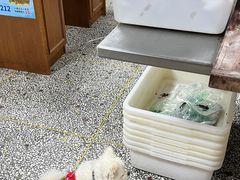 -佰运猪蹄(高陵店)