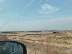 -白渔泡湿地公园