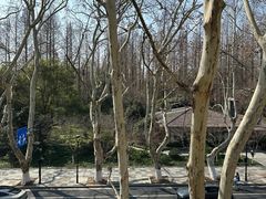 -杭州西湖桔子水晶酒店