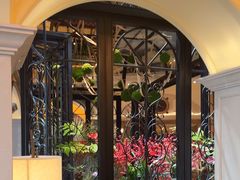 -深圳威尼斯英迪格酒店-邻芙花廊下午茶·NINFA GALLERY·蛋糕·咖啡