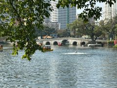 -荔湾湖公园