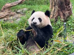 -广州长隆野生动物世界