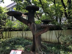 -汇龙潭