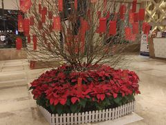 -堂会·KTV·自助餐·团建聚会(天河店)