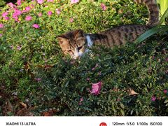 -莲花山公园
