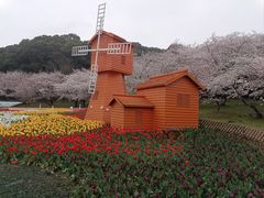 -苏州上方山国家森林公园