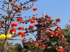 -厦门园林博览苑
