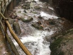 -五女峰国家森林公园