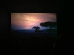 -国文影城(上海闸北店)