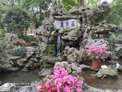 -上海醉白池公园