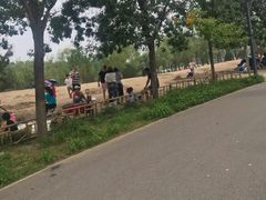 -东郊湿地公园