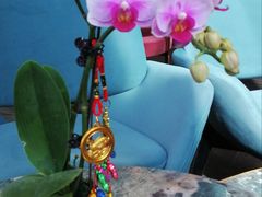 -大连铂尔曼酒店-铂尔曼美食廊 Pullman Deli