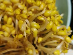 -矮冬瓜红茶火锅(天府一街店)
