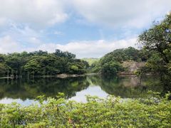 -广州市石门国家森林公园