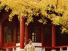 -堤角公园