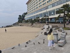 -海云台海滩