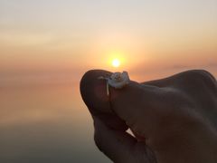 -崖口云吞(中堡店)