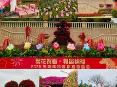 -东莞植物园