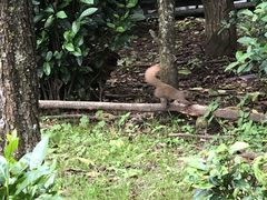 -苍山感通索道