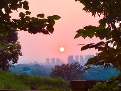 -铁山坪森林公园