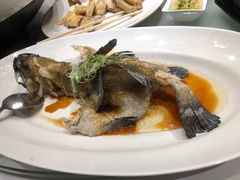 -春满园·早茶·粤菜·宴会(喜宴店)