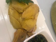 上海白斩鸡-骏莱海鲜鱼港(五角场店)