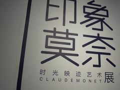 -印象莫奈时光映迹艺术展