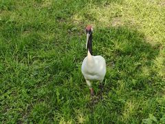 -哈尔滨北方森林动物园