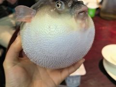 -永安鱼庄·镇江菜(东吴路店)