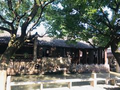 -乌镇东栅景区
