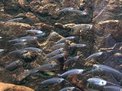 -石林冰雪海洋世界