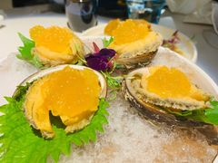 秘制冻鲍鱼-荟廷·晶萃(陆家嘴尚悦湾店)
