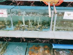 水产区-源海渔村·现捞海鲜(大角湾店)