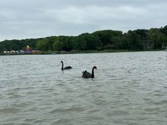 -昆山城市生态森林公园