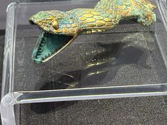 -烟台市博物馆