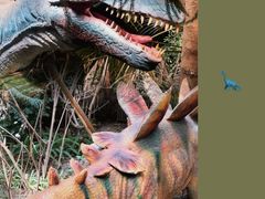 -呀路古热带植物园