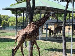-常州淹城野生动物世界