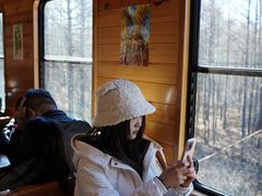 -莫尔道嘎国家森林公园