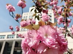 -公益图书馆(江南大学店)