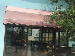 休息区-汪说喵讲宠物乐园宠物酒店(红星美凯龙店)